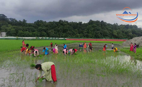 Ropain Jatra in Nepal: 3 Days Rice Planting Festival Experience in Kirtipur