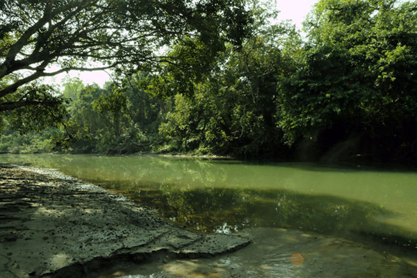 Rara Lake Trek in 2025 gallery image