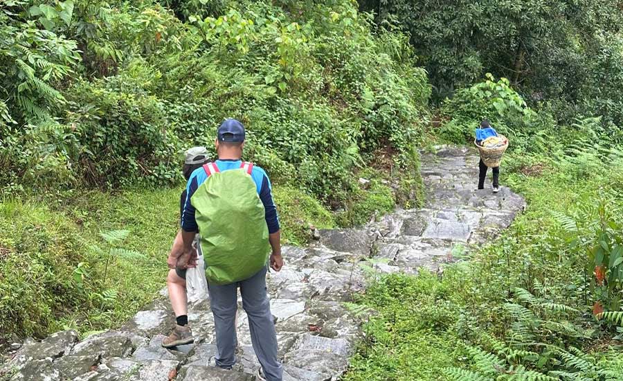 Guide and Porter Cost in Nepal