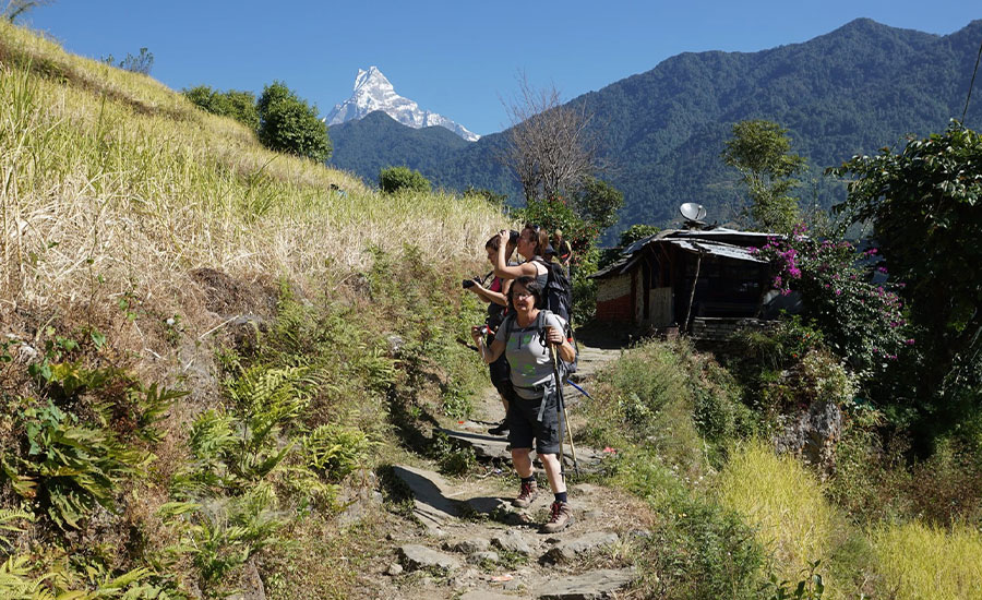 Isabel Constandt photo