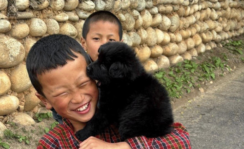 12 reasons why you should visit Bhutan