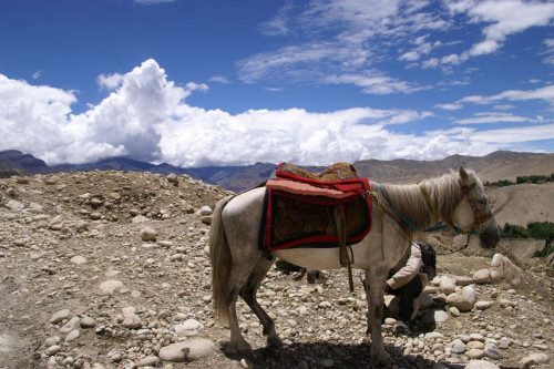 Upper Mustang Tiji Festival Jeep Tour