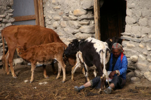 Upper Mustang Tiji Festival Jeep Tour