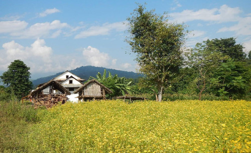 Arun Valley Trekking