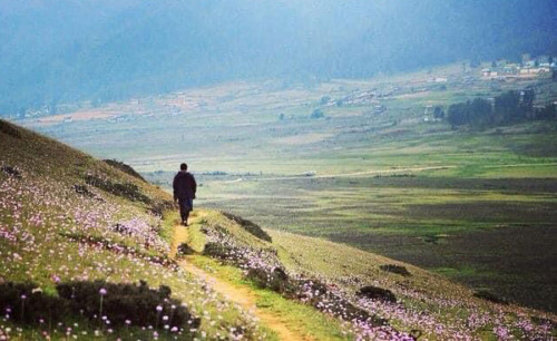 Druk Path Trek: A Scenic Adventure in Bhutan