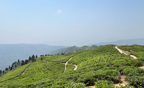 Most Popular Tourist Hubs in Nepal