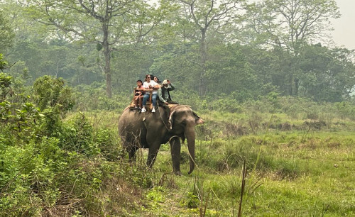 Jungle Safari in Nepal