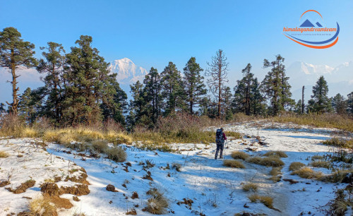 Best Lower Altitude Treks in Nepal