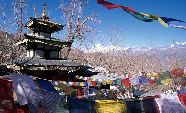 Jomsom Muktinath Trek for Families