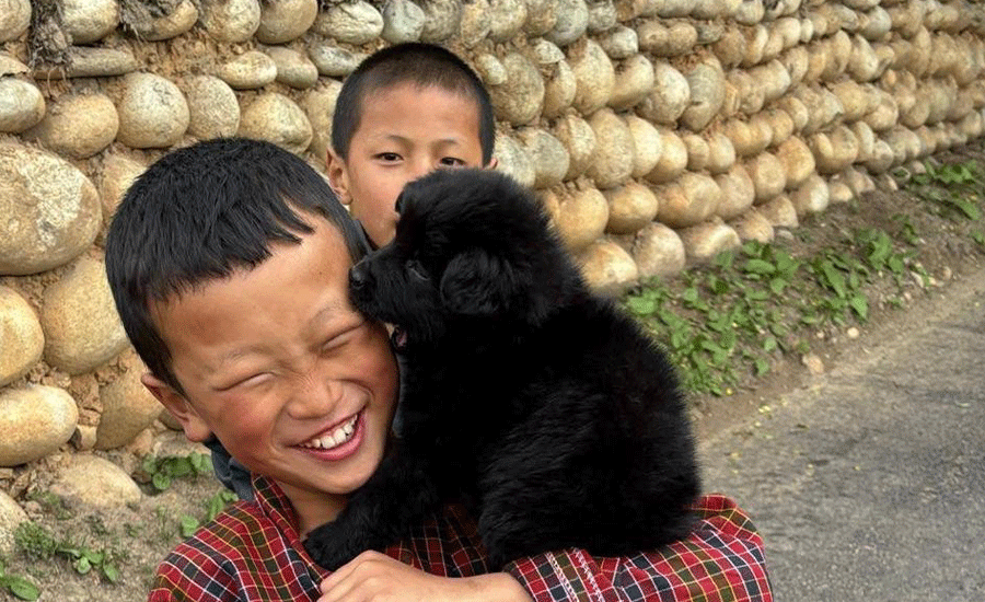 12 reasons why you should visit Bhutan