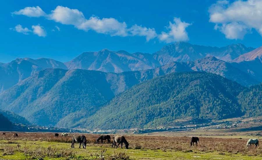 Guerrilla Trek Nepal – Rukum, Rolpa & Dhorpatan