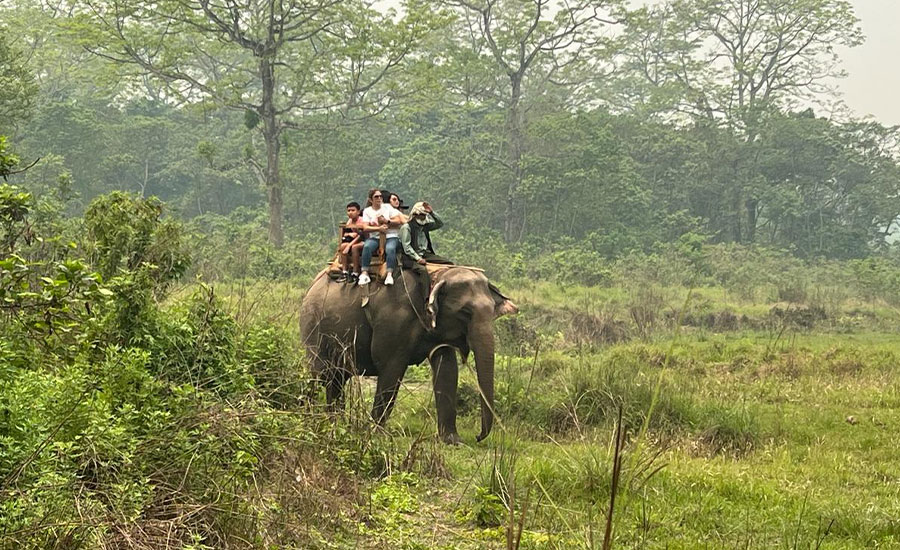 Jungle Safari in Nepal