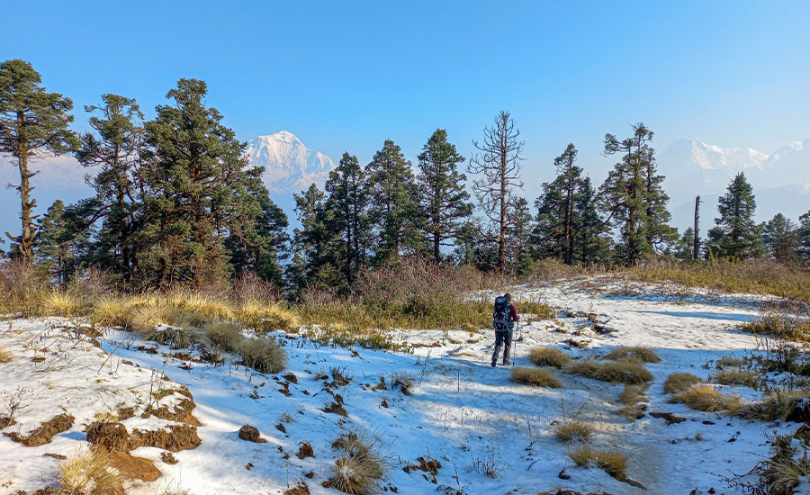 Khopra Danda Trek