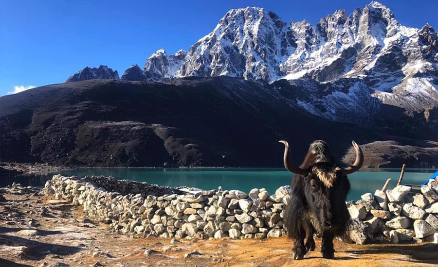Everest Three Passes Trek