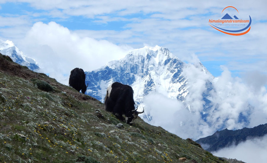 Arun Valley Trek with Everest Base Camp